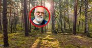 "Wręcz masowo". Wysyp w polskich lasach. Ekspert ogłasza