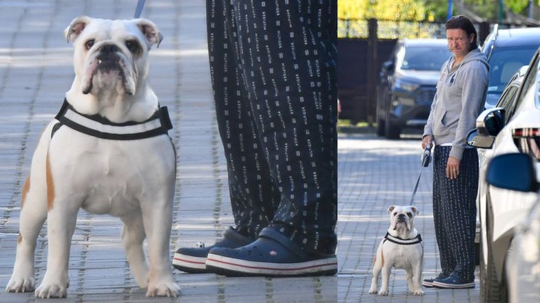 Małgorzata Rozenek i Radosław Majdan szykują się do wyjścia 