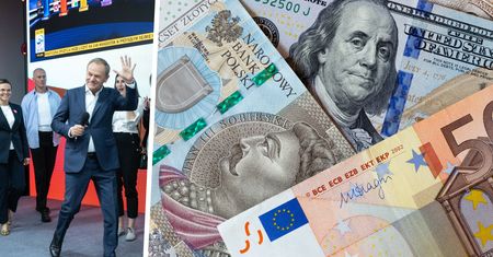 Rynek zaczyna się budzić w nowej rzeczywistości. Złoty wyraźnie reaguje