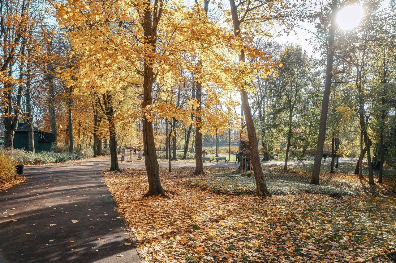 Do 16°C na południu. Okno pogodowe idealne na szybkie prace w polu
