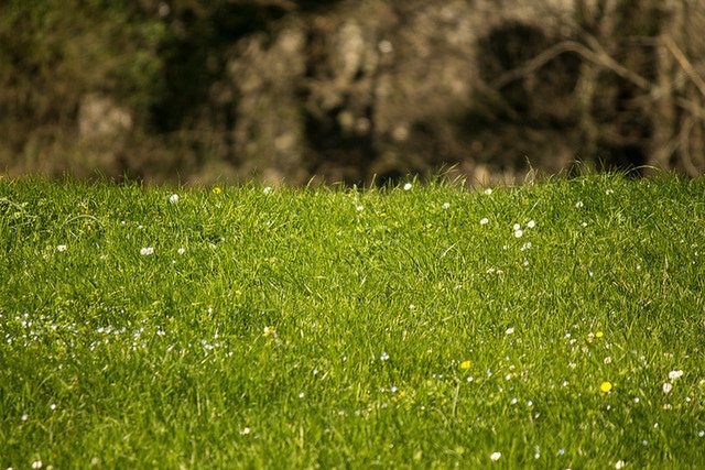 Poznaj 10 powszechnych alergenów