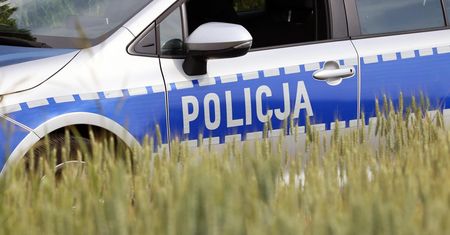 Hitlerowskie zdjęcia w miejscu kapliczki. Policja prosi o pomoc