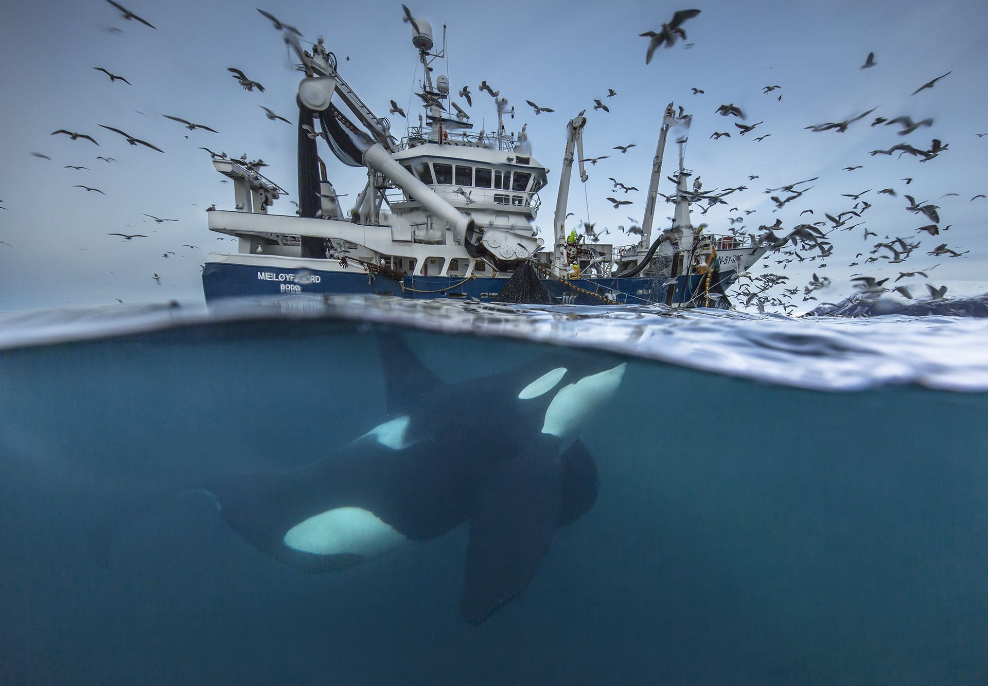 Polak laureatem Siena International Photo Awards 2016 12