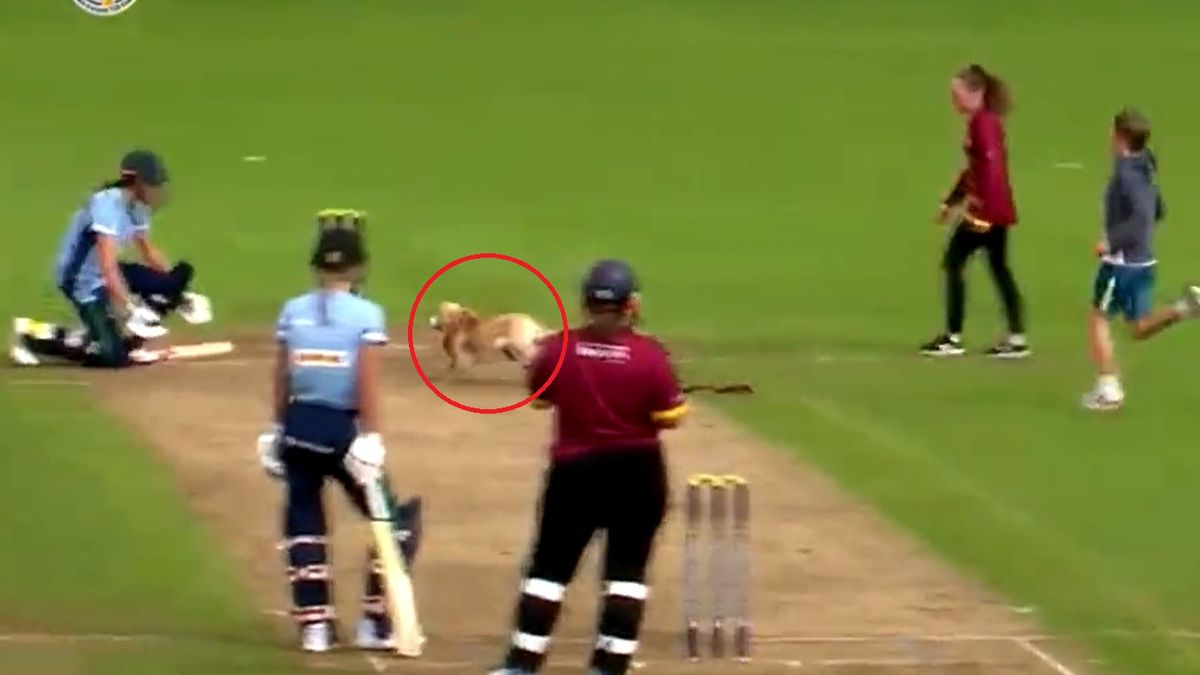 Przerwany mecz w Irlandii 