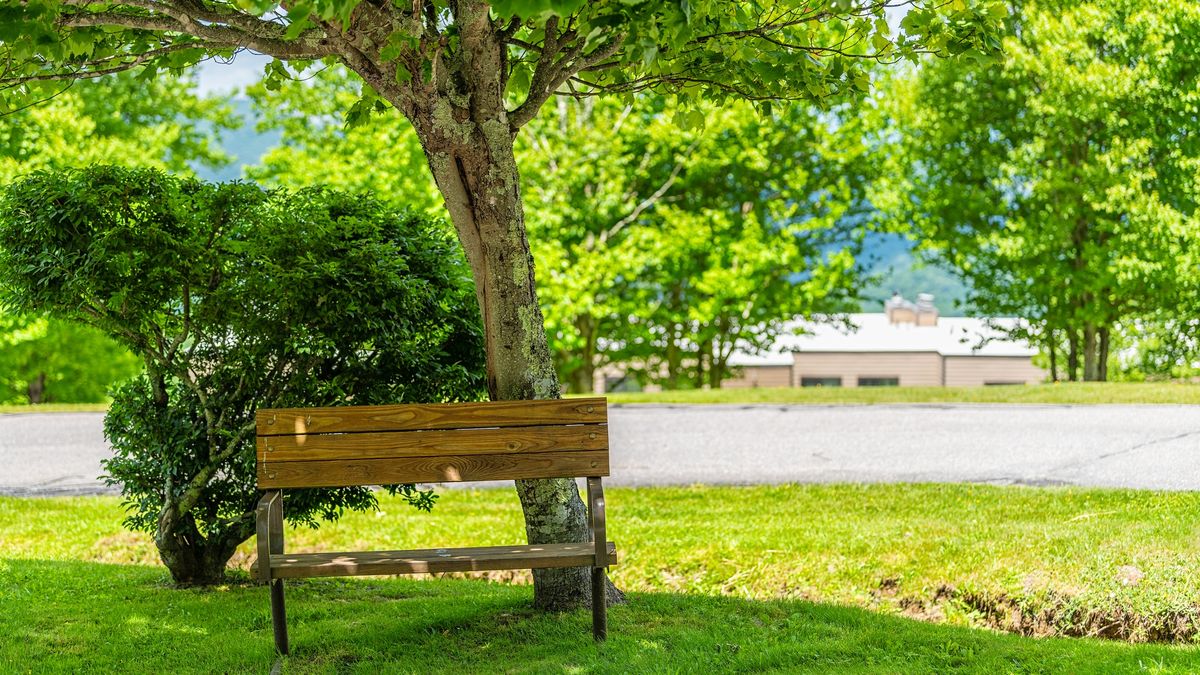 Para dopuściła się nieobyczajnego zachowania na ławce pod blokiem 