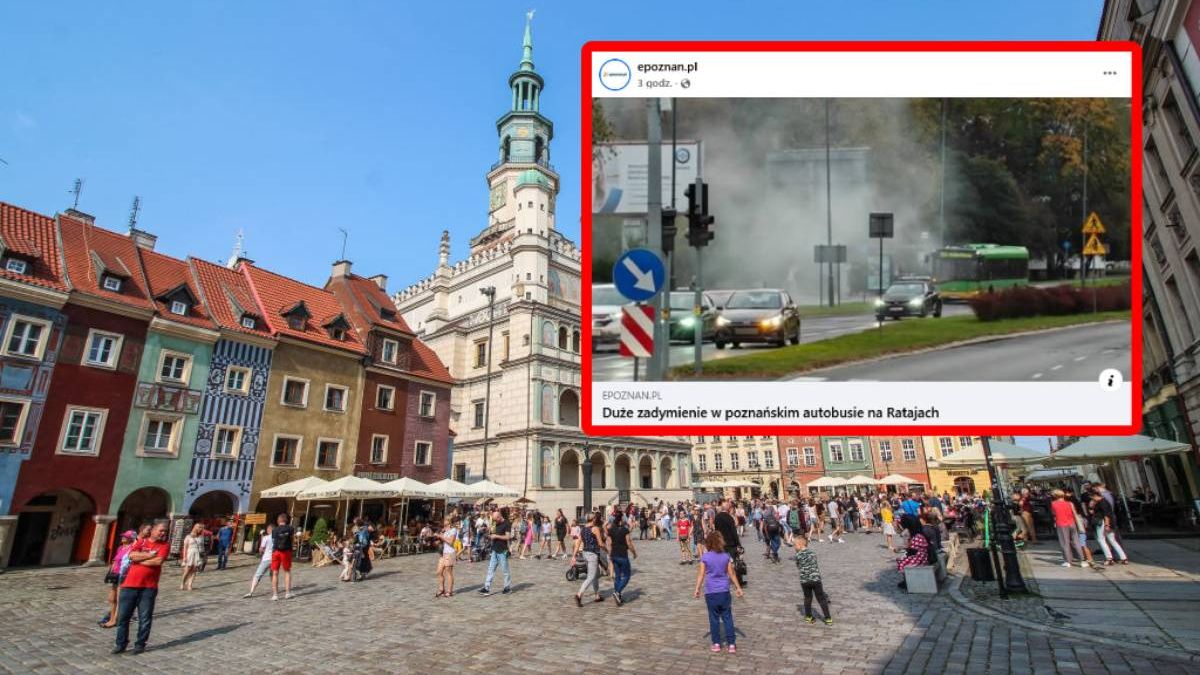 Daily Life In Poland
Poznan City Hall on the Old Market Square is seen in Poznan, Poland on 12 September 2020  (Photo by Michal Fludra/NurPhoto via Getty Images)
NurPhoto
daily life, poznan city hall, old market square, michal fludra, nurphoto, plaza, public space, landmark, building, outdoor, ground