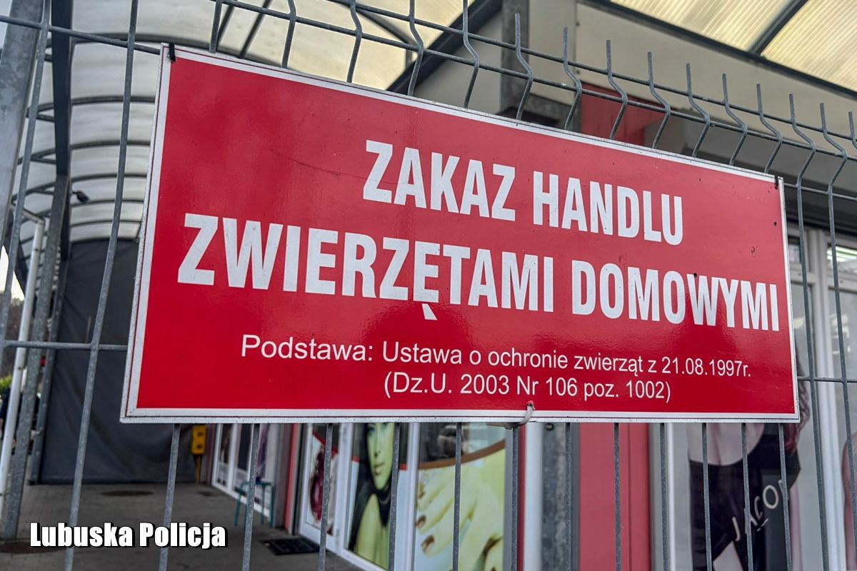 Taka tablica znajduje się na bazarze. Trudno ją przeoczyć