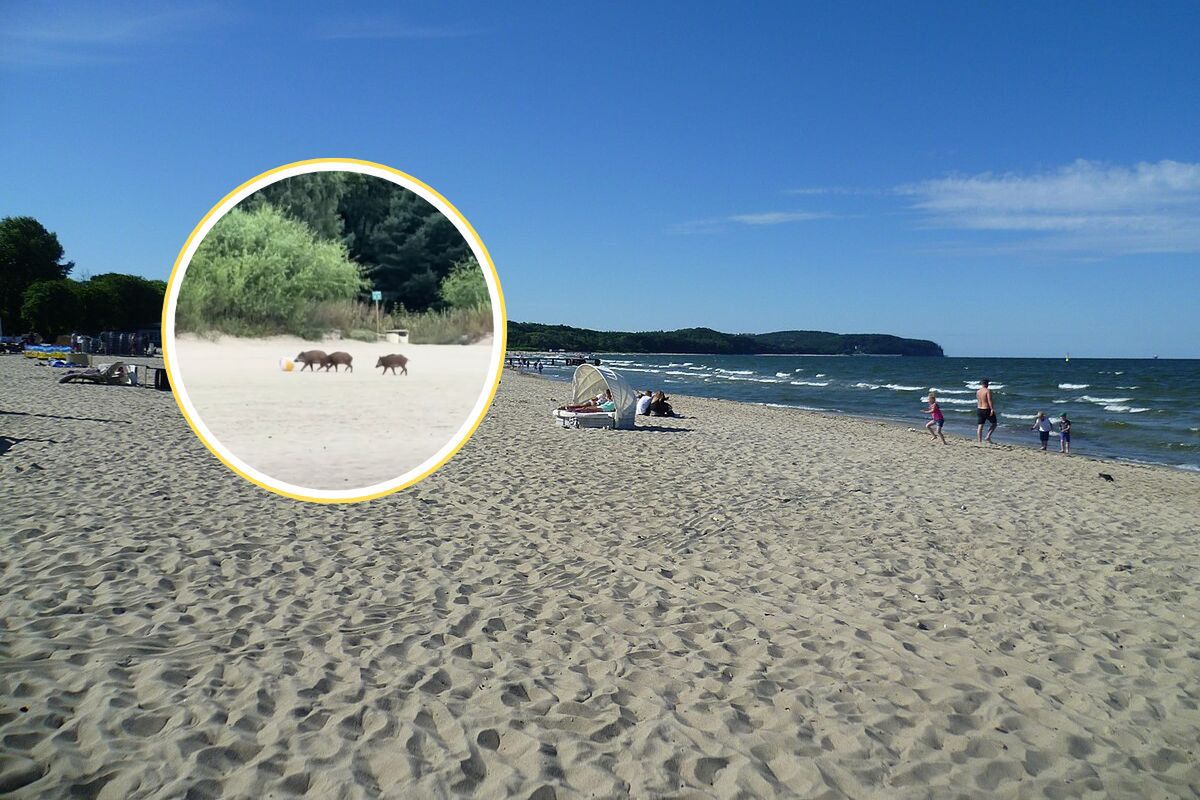 Nagrali je na plaży w Sopocie. Bawiły się jak dzieci. Wystarczyła piłka
