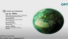 H2O realizuje spoty reklamowe w 3D dla Intermag