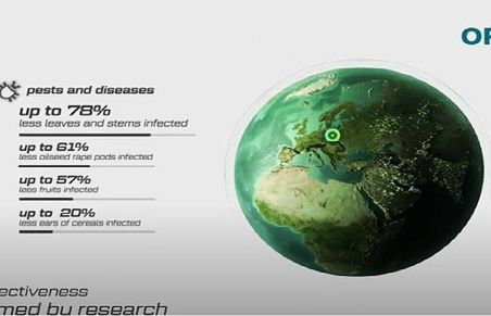 H2O realizuje spoty reklamowe w 3D dla Intermag