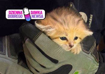 Podwójna radość w gdańskim zoo. Ważą ponad 300 gramów