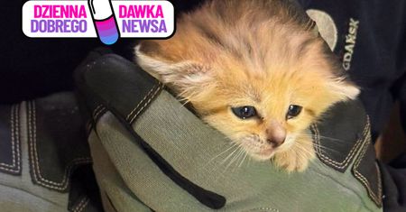 Podwójna radość w gdańskim zoo. Ważą ponad 300 gramów