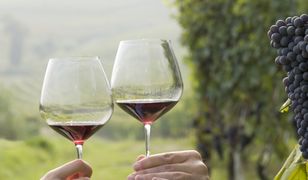 Produkcja wina zagrożona. Hiszpański gigant bije na alarm