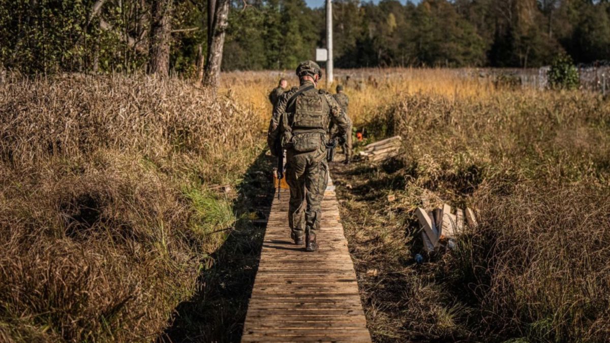 Specjalne kładki pozwalają na łatwe patrolowanie bagien i mokrad