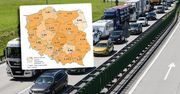 Kluczowe badanie dla planowania autostrad i dróg ekspresowych. Widać wyraźny trend