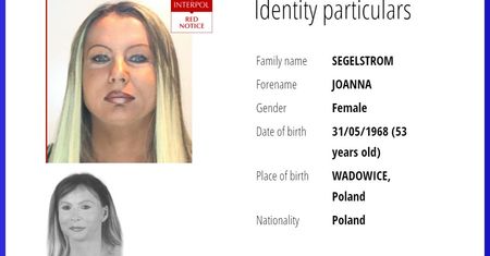 Gdzie jest Joanna Segelström i 300 mln zł? Polka oszukała setki osób, nikt nie może jej znaleźć
