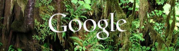 Photovine - nowy fotograficzny projekt Google'a? 1