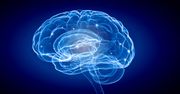 Naukowcy odkryli sposób na wymazywanie ludzkiej pamięci