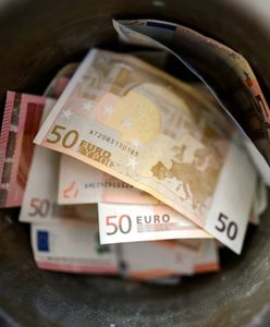 Miliony marek zakopane w ogrodzie