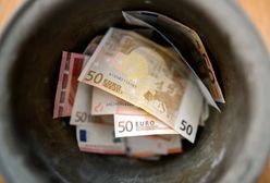 Miliony marek zakopane w ogrodzie