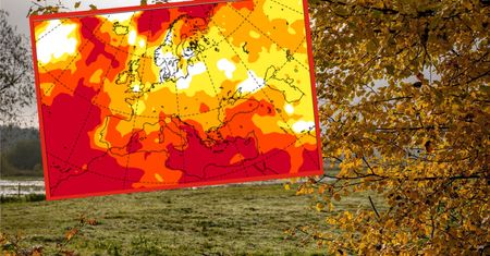 Amerykańska prognoza pogody na jesień 2023. El Nino nie odpuści