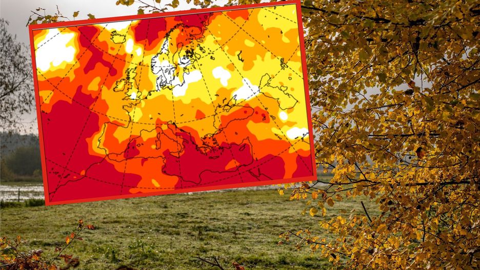 Amerykańska prognoza na jesień. El nino wpłynie na pogodę