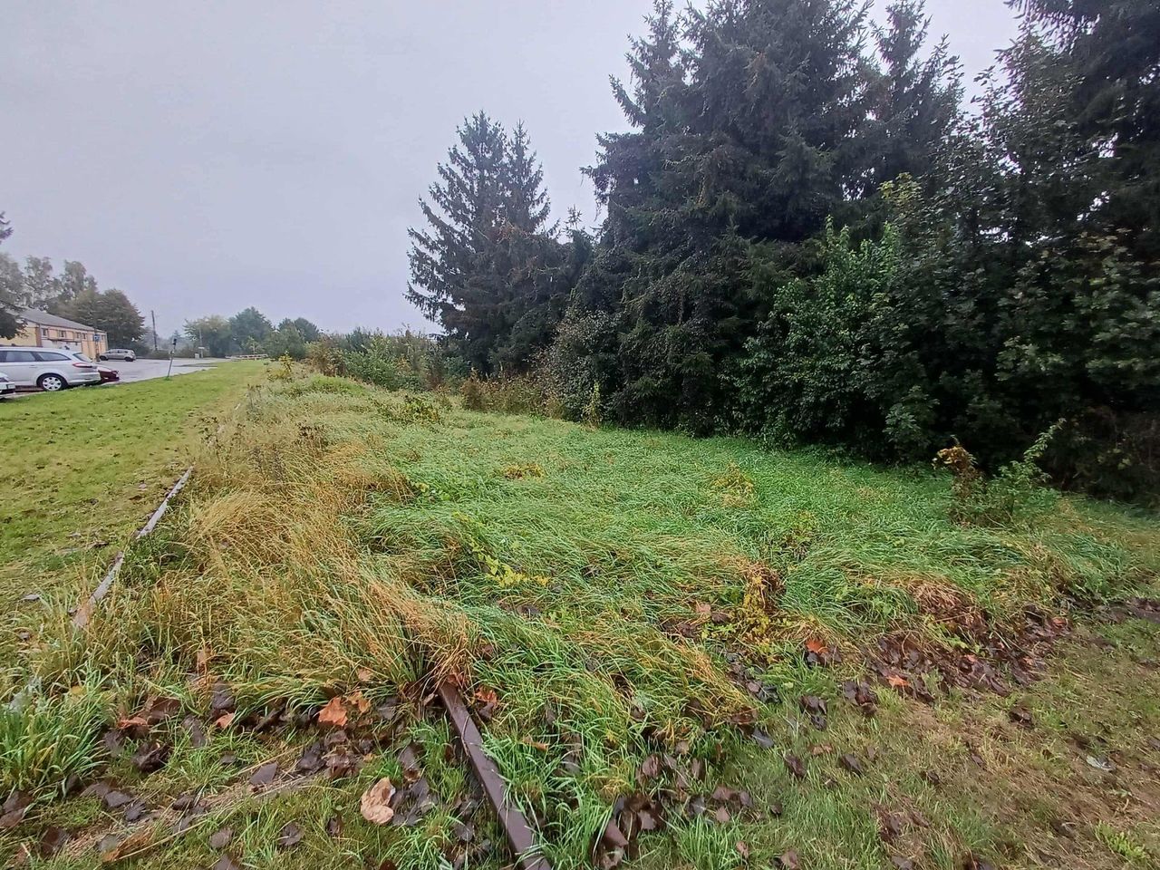 Linia kolejowa z Malborka do Nowego Dworu Gdańskiego. Kiedy odbudowa?