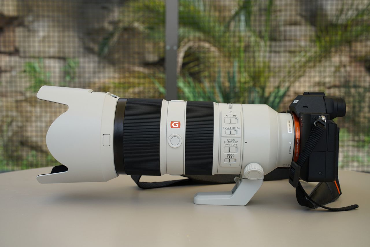 Sony FE 70–200 mm f/2.8 GM OSS - zdjęcia przykładowe z ZOO w Berlinie