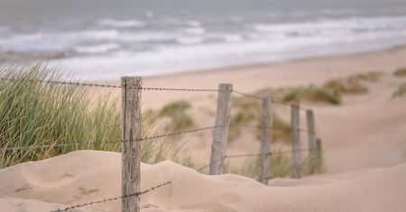 Makabra w Gdyni. Plażowicze znaleźli zwłoki