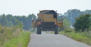 Zdesperowany okupant. Rosjanie kradną od brytyjskich farmerów