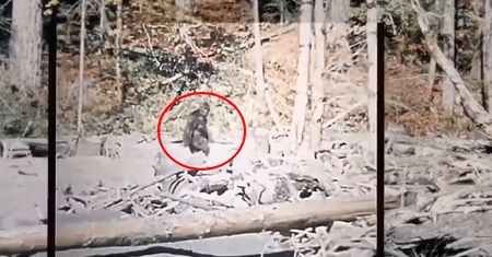 AI ulepszyła słynne nagranie. Prawda wyszła na jaw
