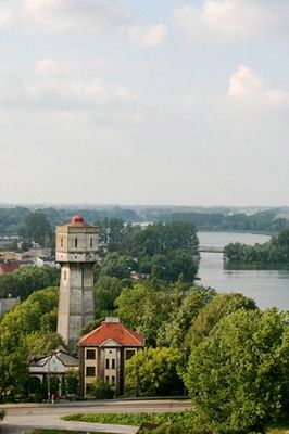 Obraz