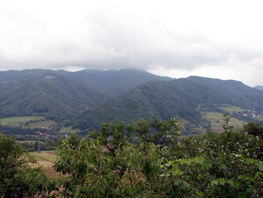 Obraz