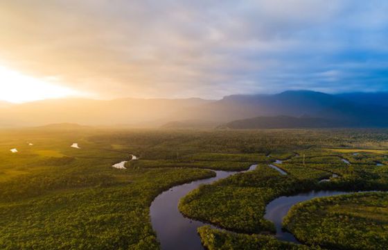 Kraje Amazonii deklarują "sojusz przeciwko wylesianiu", ale bez uzgodnienia wspólnych planów działania
