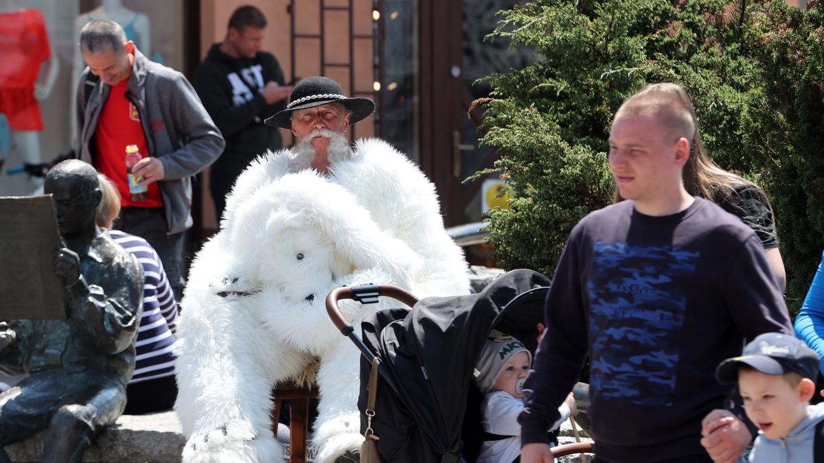 Matka narzeka na "inwazję pluszaków" w Zakopanem 