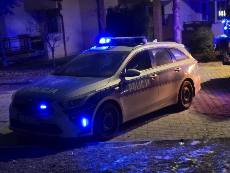 Zdjęcie 3 z 13