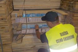 Polsko-niemiecka akcja. 13 zatrzymanych