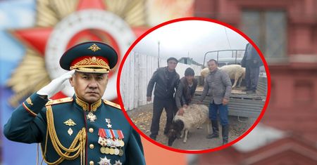 Ojczyzna Szojgu. Rodziny poborowych na specjalnych prawach