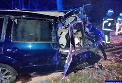 Kompletnie pijany uderzył w drzewo. Pomocy udzielił policjant po służbie