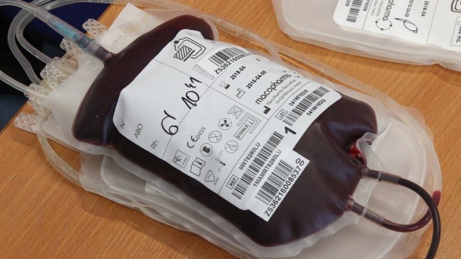 Krew (Wojciech Obremski lca.pl)