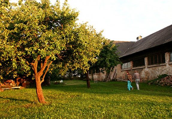 Obraz