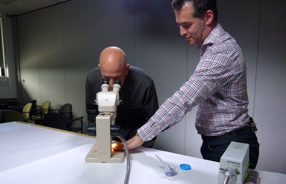 „Kryminalistycy w Nowej Zelandii” od 19 kwietnia w CBS Reality