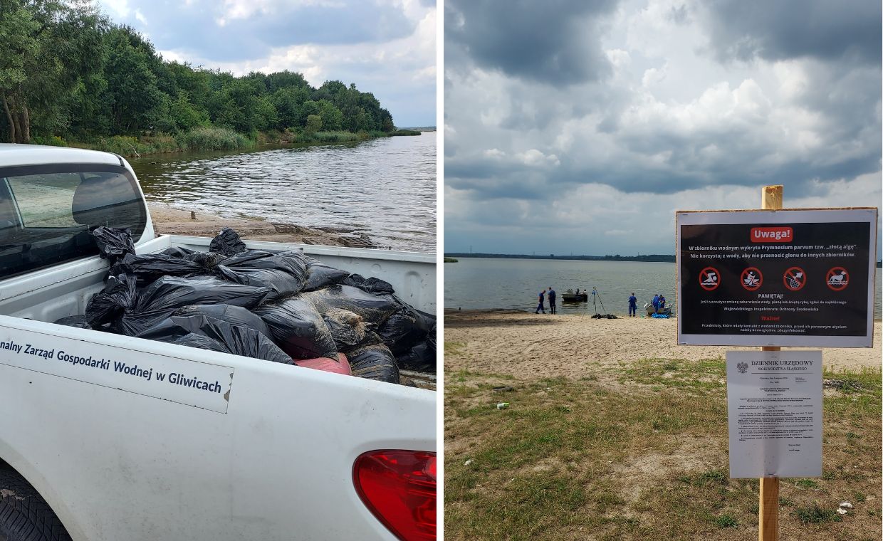 Służby walczą z kolejnym kryzysem w rejonie Kanału Gliwickiego