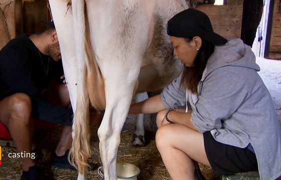 Polsat szuka uczestników do nowego reality-show „Farma”