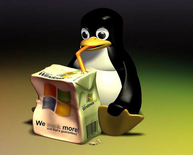 Niepokonany Linux a pokonany przez dwa laptopy