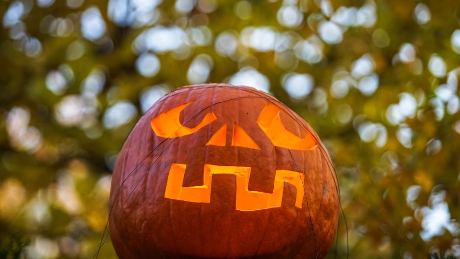 Imprezy z okazji Halloween cieszą się coraz większą popularnością w Polsce