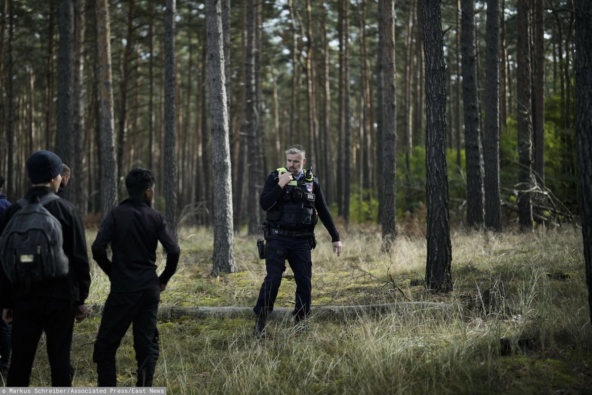 Policjanci w lesie