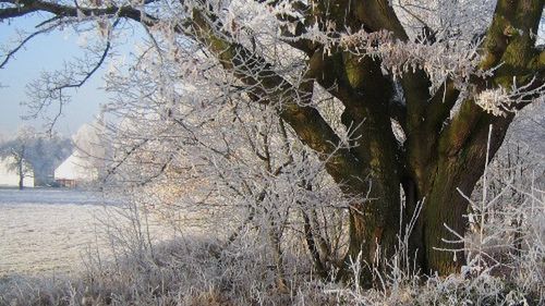 Idzie zima - zadbaj o odporność 1