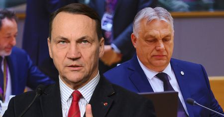 "Pudło". Sikorski o zatrzymaniu na Węgrzech