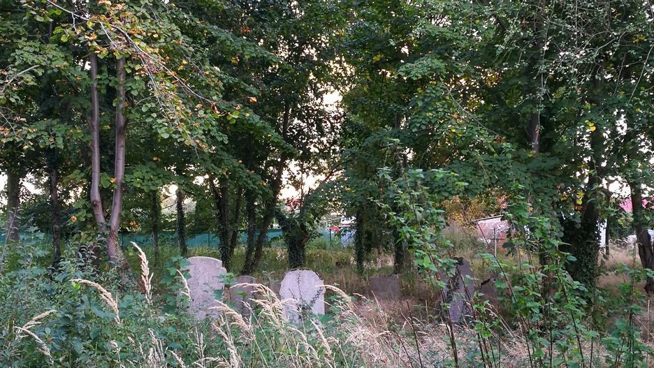 Grób cmentarz groby